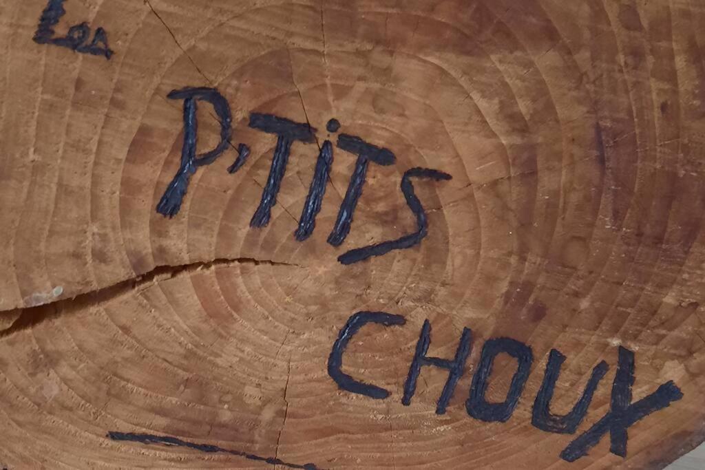 Gite Les Ptits Choux Saint-Quentin-Lamotte-Croix-au-Bailly Zewnętrze zdjęcie